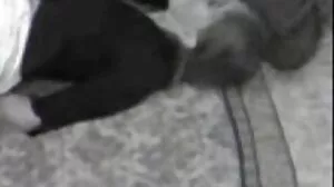 රෝස මේස්