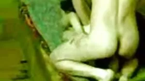 කූගාර්