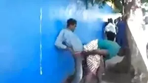 එල්සා සහ කාර්ලි පූස් කෑමට කැමතියි